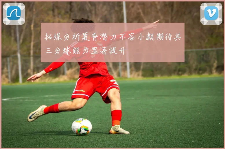 拓媒分析夏普潜力不容小觑期待其三分球能力显著提升
