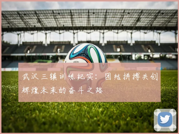 武汉三镇训练纪实：团结拼搏共创辉煌未来的奋斗之路