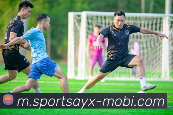 爱游戏平台生态图